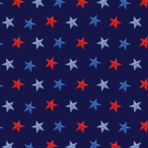 Stars Of Freedom Navy