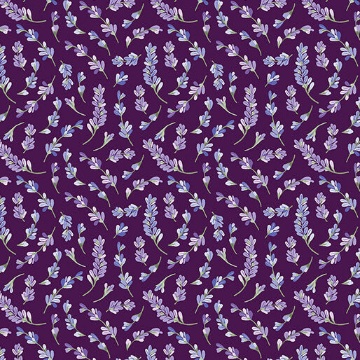 Lavendula Dark Plum