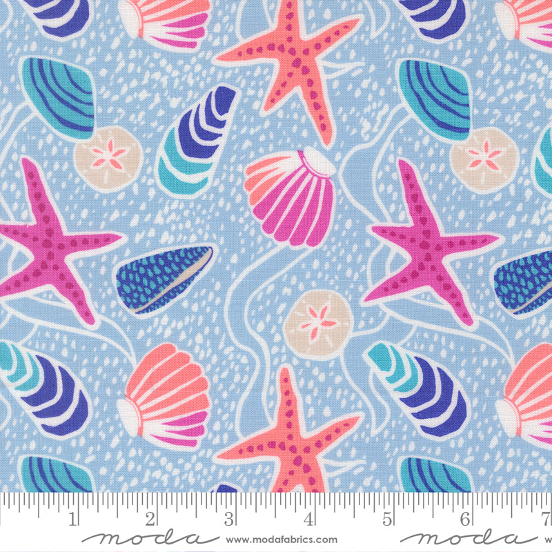 Pre Order Ships In November Reef Sea Shells Marlin