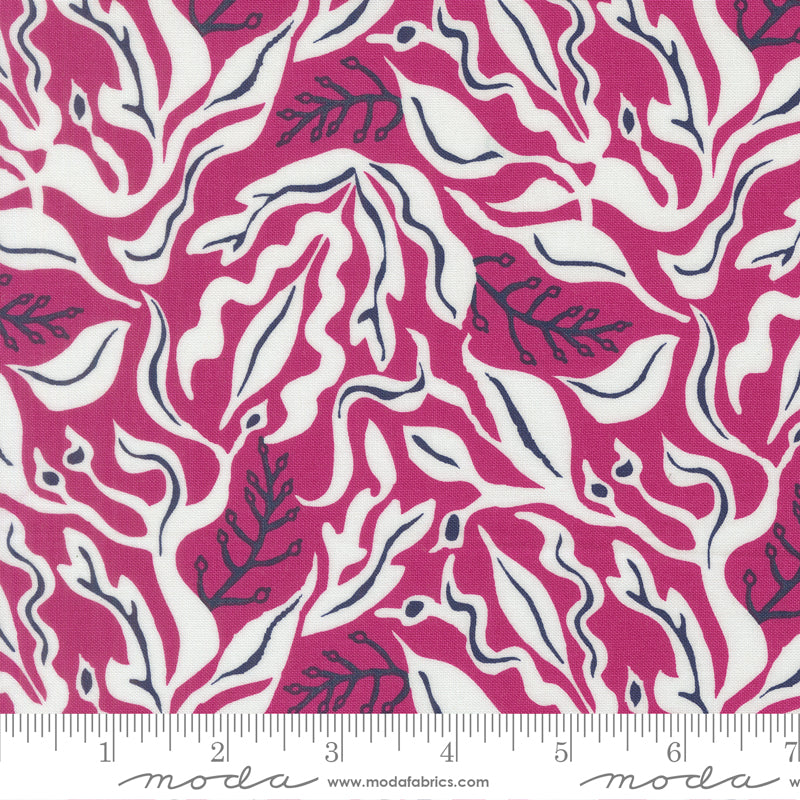 Pre Order Ships In November Reef Under The Sea Magenta