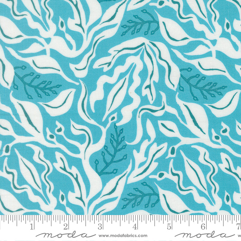 Pre Order Ships In November Reef Under The Sea Seafoam