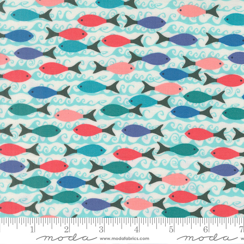 Pre Order Ships In November Reef School of Fish Pearl