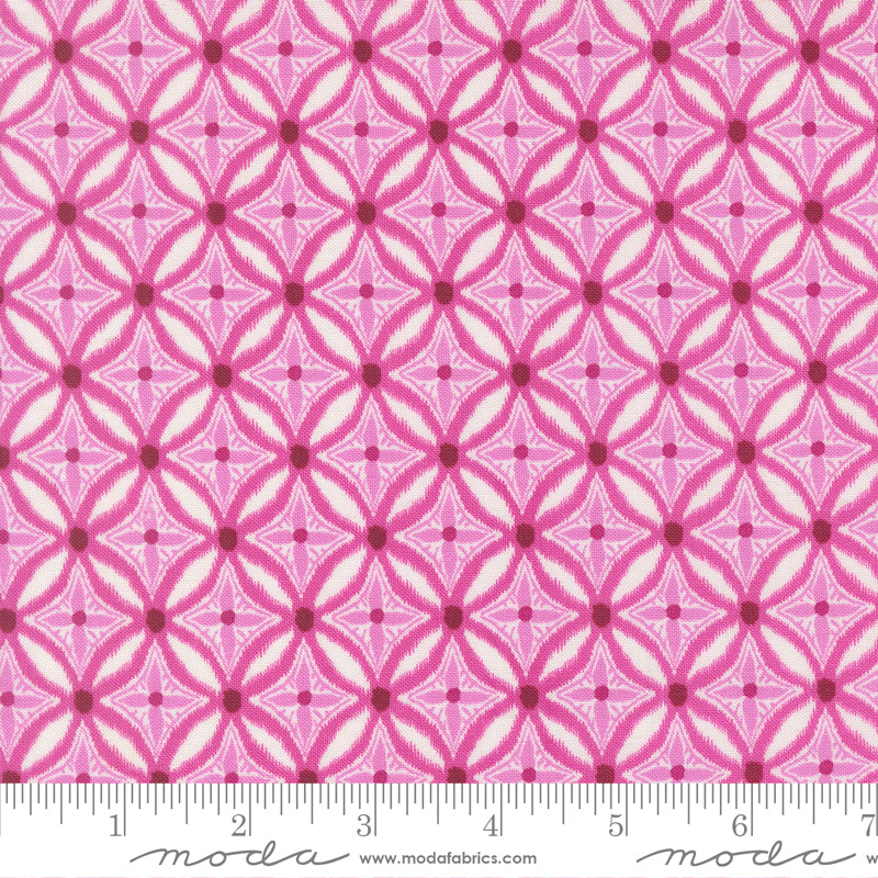 Pre Order Ships In November Sold Reef Medallion Magenta