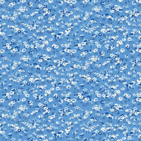 Blue China Darling Daisies