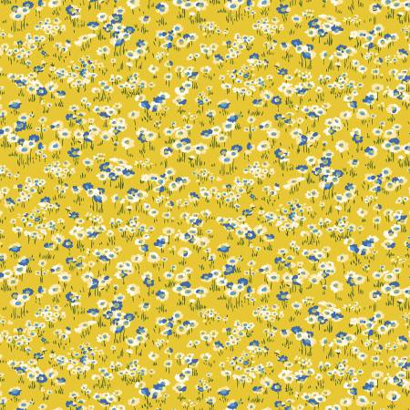 High Summer Darling Daisies