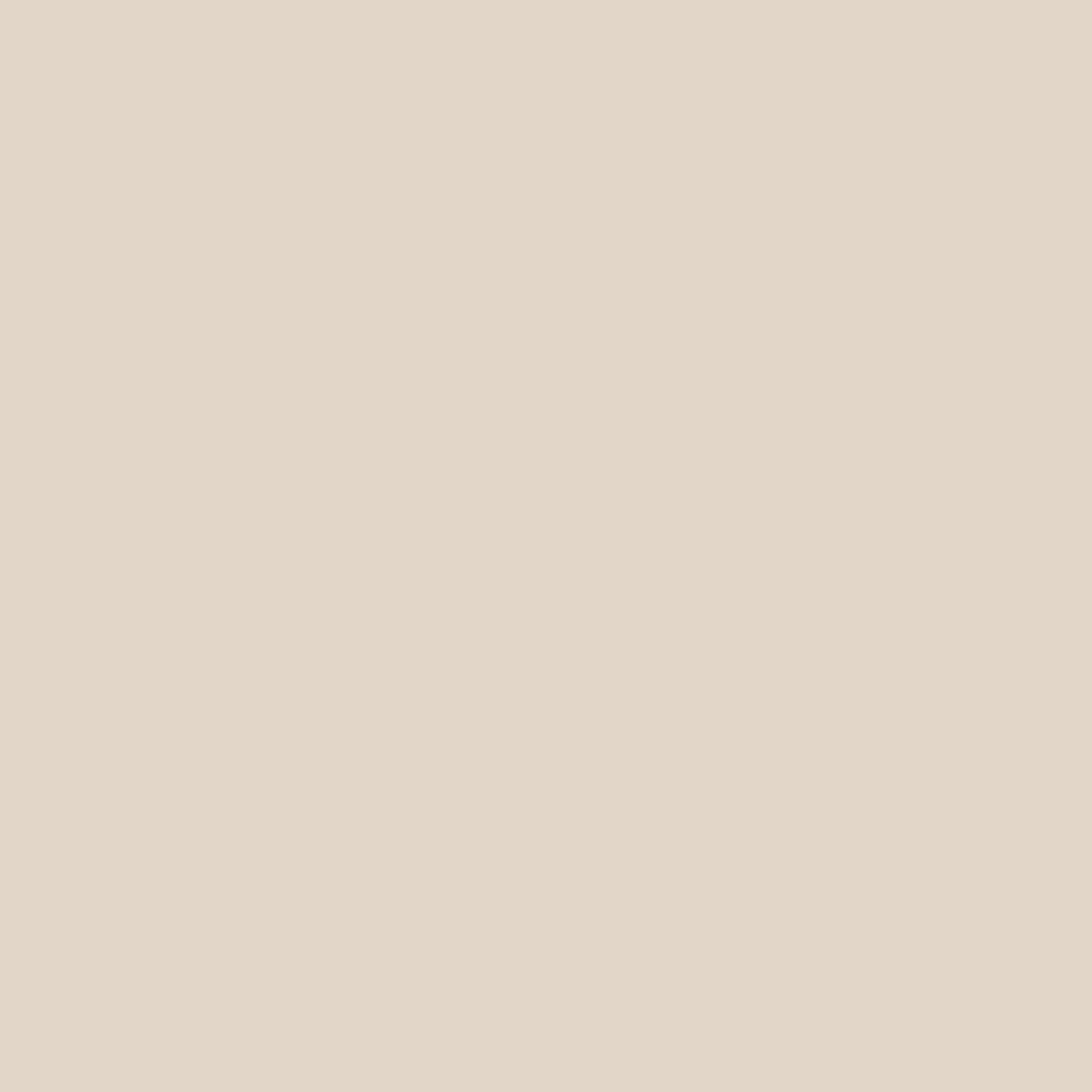 OCTOBER PREORDER -- Tilda Solid in Warm Sand