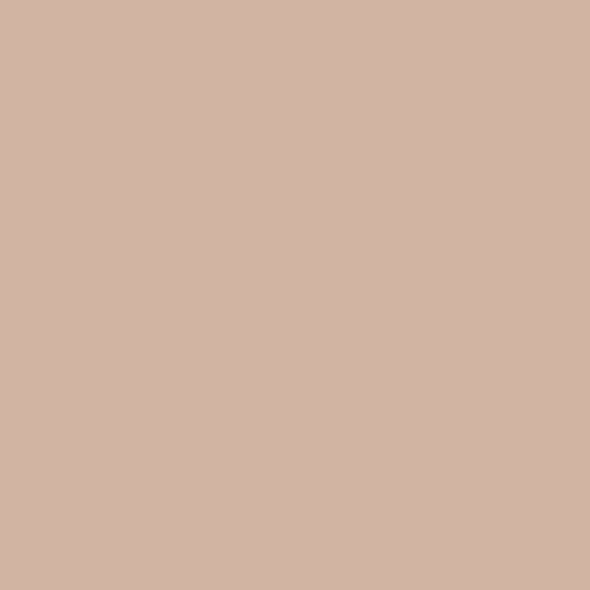 OCTOBER PREORDER -- Tilda Solid in Cappuccino