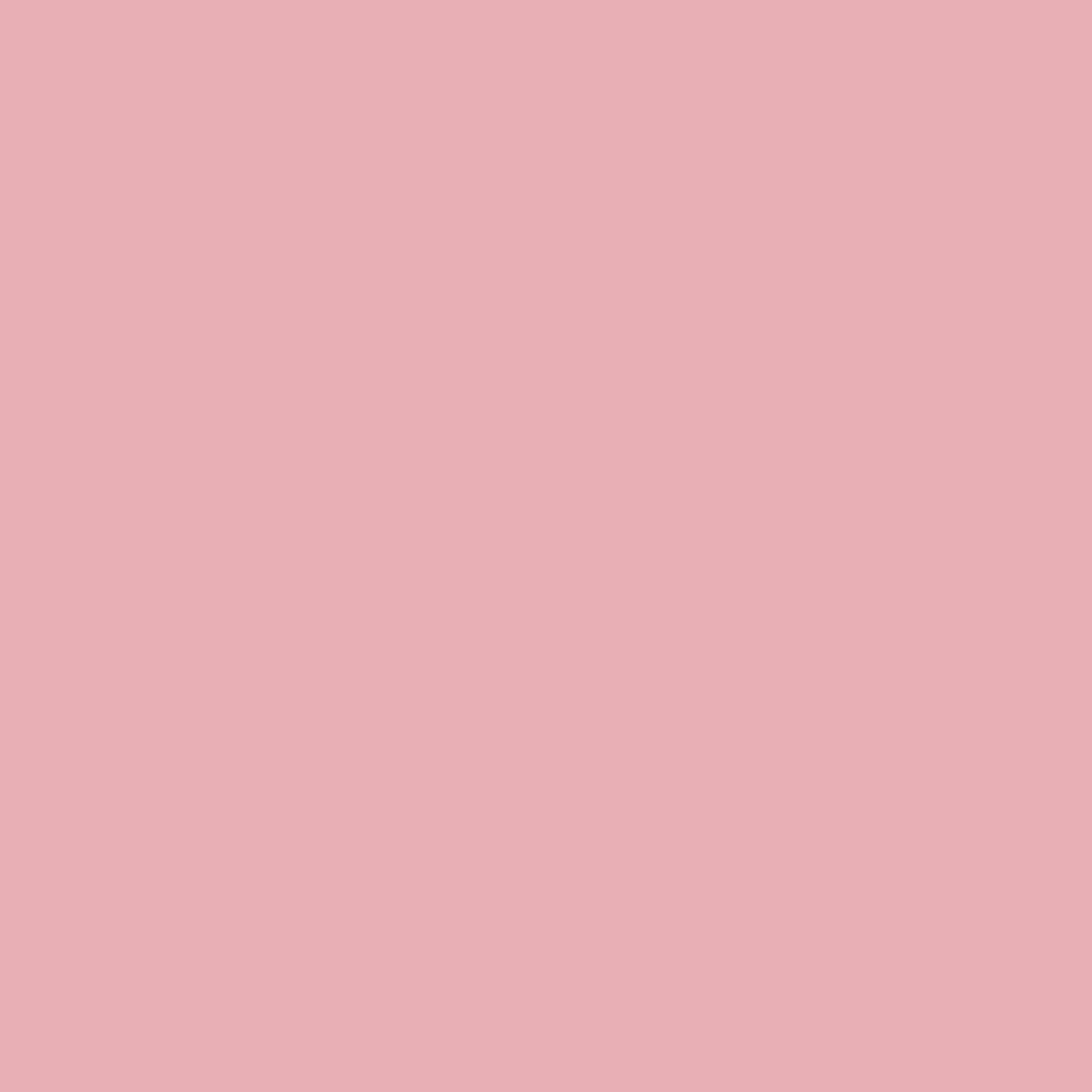 OCTOBER PREORDER -- Tilda Solid in Dusty Rose