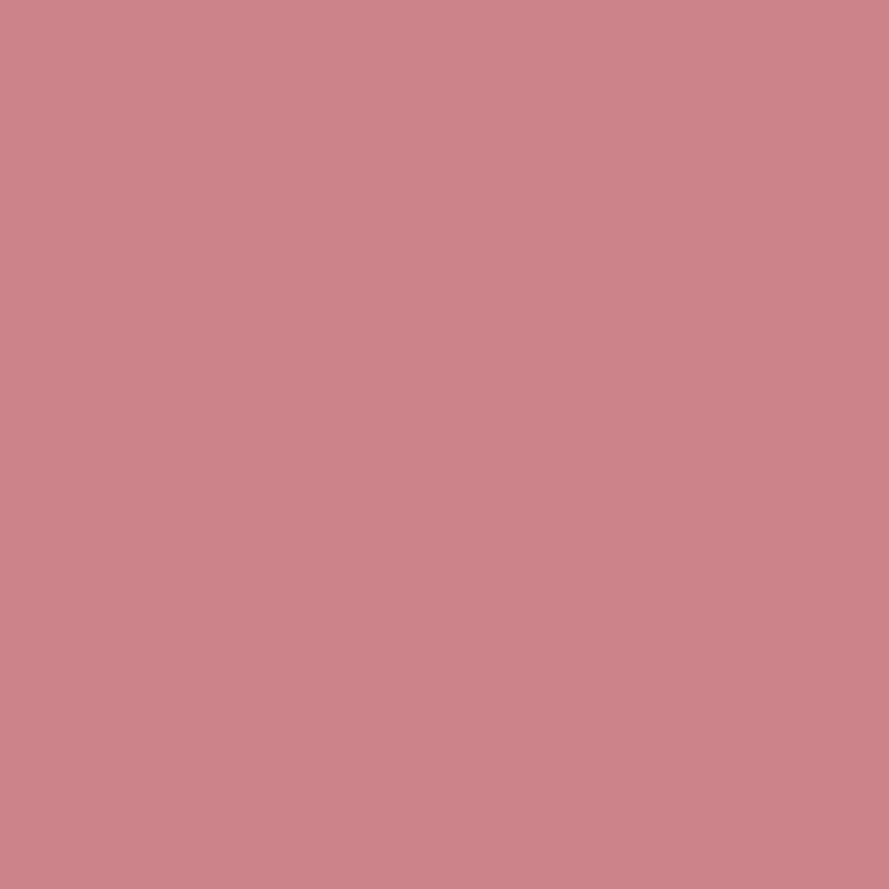 SEPTEMBER PREORDER -- Tilda Solid in Terracotta