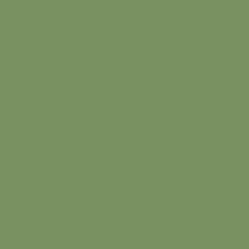 SEPTEMBER PREORDER -- Tilda Solid in Pine