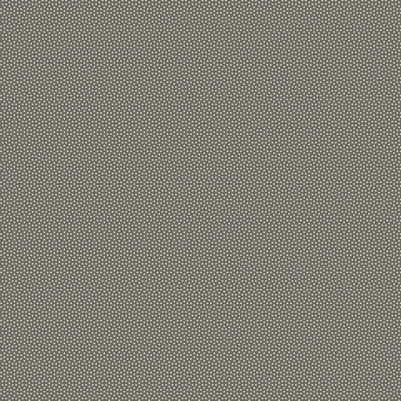 APRIL PREORDER -- Poppy Seed in Charcoal