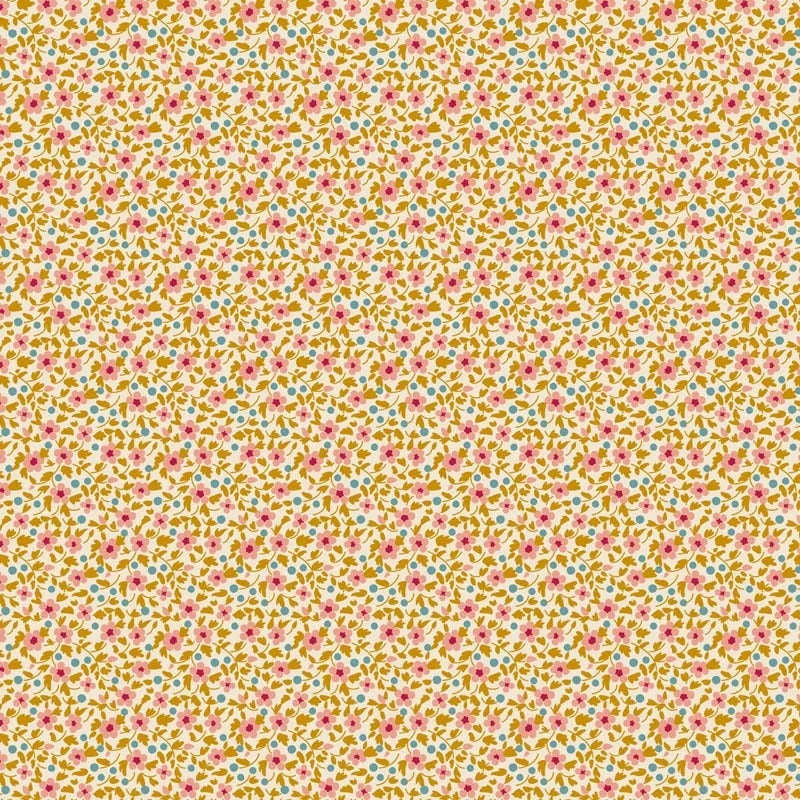 APRIL PREORDER -- Brie in Mustard