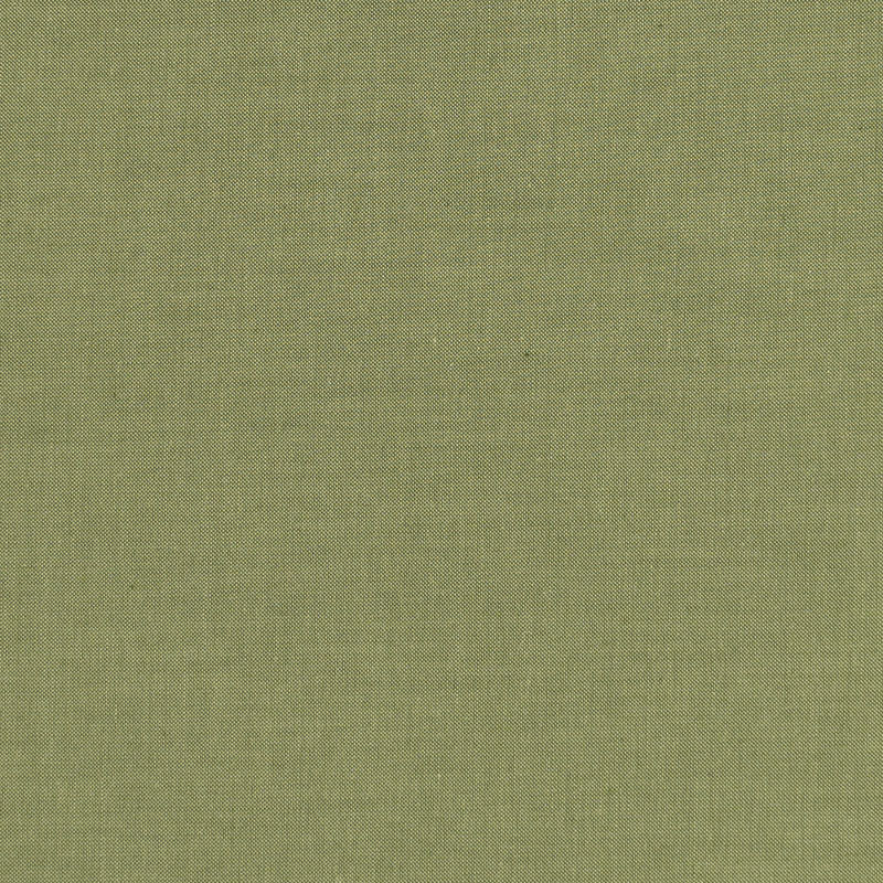 OCTOBER PREORDER -- Tilda Chambray in Pine