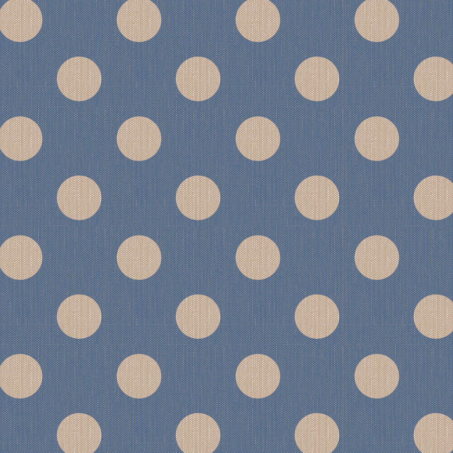 OCTOBER PREORDER -- Tilda Chambray Dots in Denim