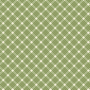 Benatrex Hello Pumpkin By Cherry Guidry By The 1/2 Yard Crisp Plaid Green