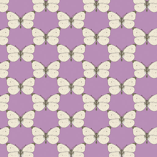 Cabbage Butterfly Medium Petal