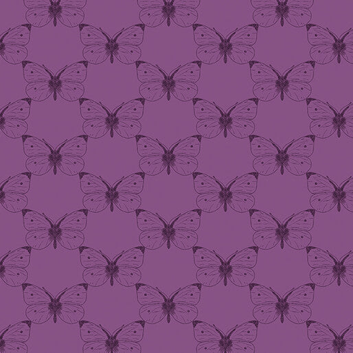 Etched Cabbage Butterfly Plum