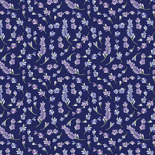 Lavendula Dark Twilight