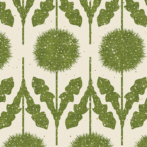 Border Moss