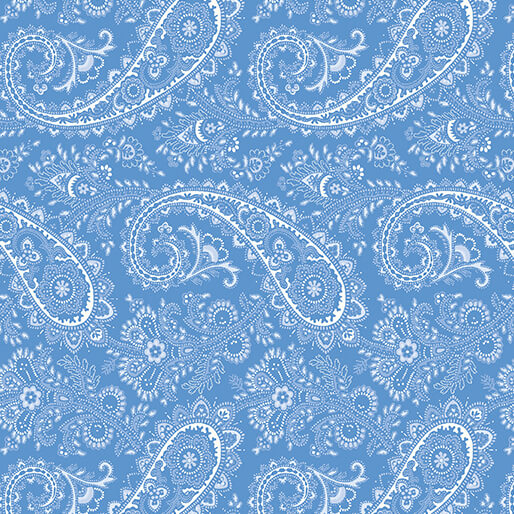 DECEMBER PREORDER -- Bandana Paisley Denim