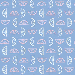 Pre Order Ships In January Slice of Summer | Blue