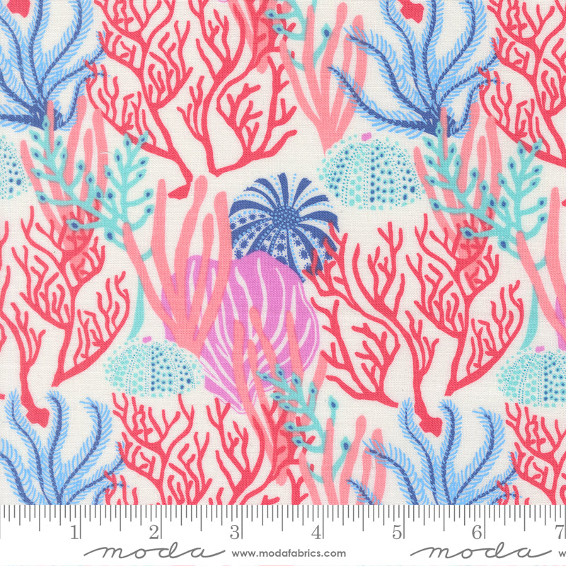 Pre Order Ships In November  Coral Reef Pearl