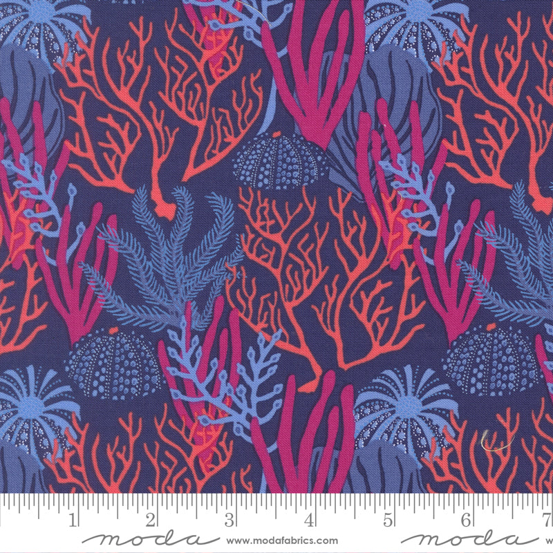 Pre Order Ships In November Coral Reef Dusk