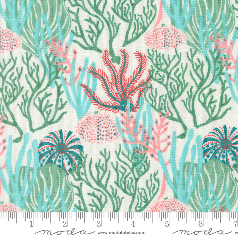 Pre Order Ships In November Coral Reef Seaweed