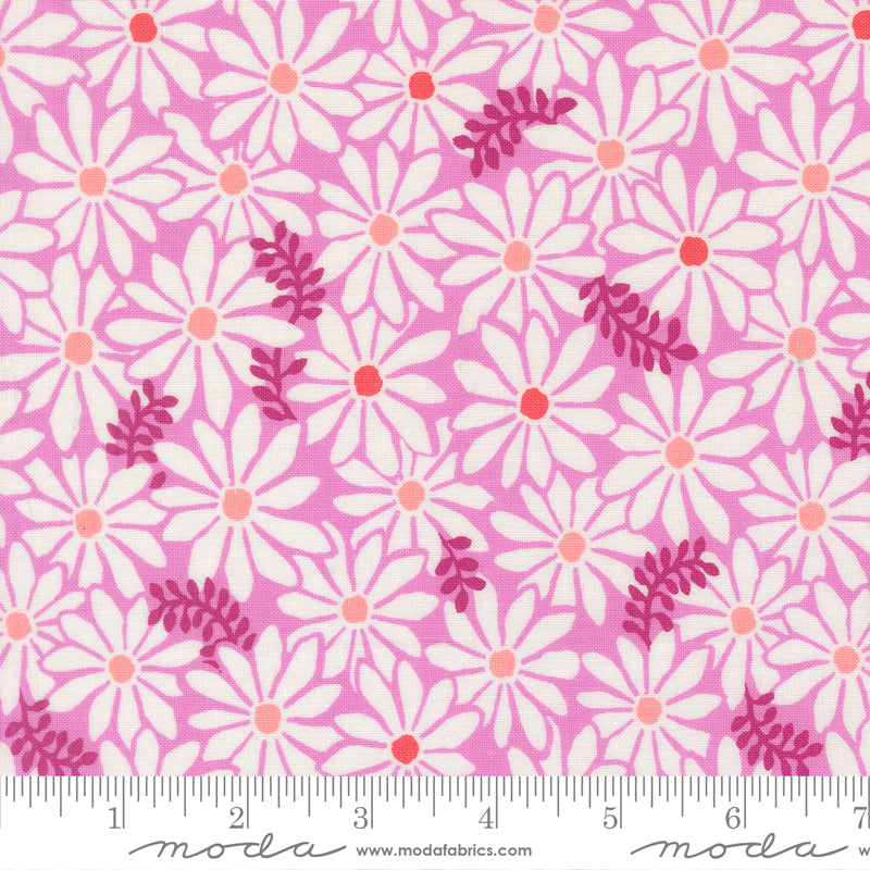 Pre Order Ships In November Reef Bloom Petal