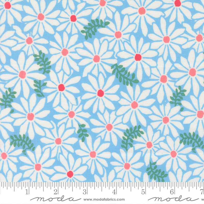 Pre Order Ships In November  Reef Bloom Sky