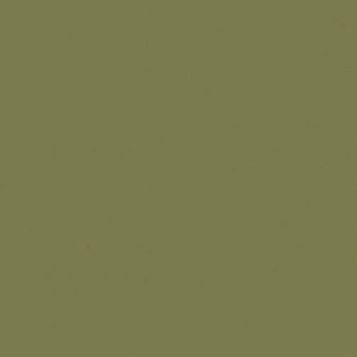 Superior Solids - Fern