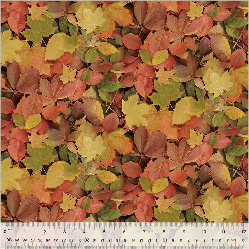 SEPTEMBER PREORDER ** ANESH 2026 Fabric