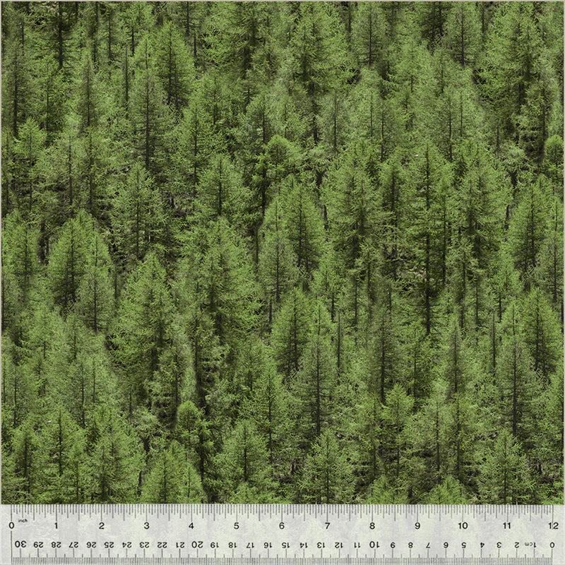 SEPTEMBER PREORDER ** ANESH 2026 Fabric