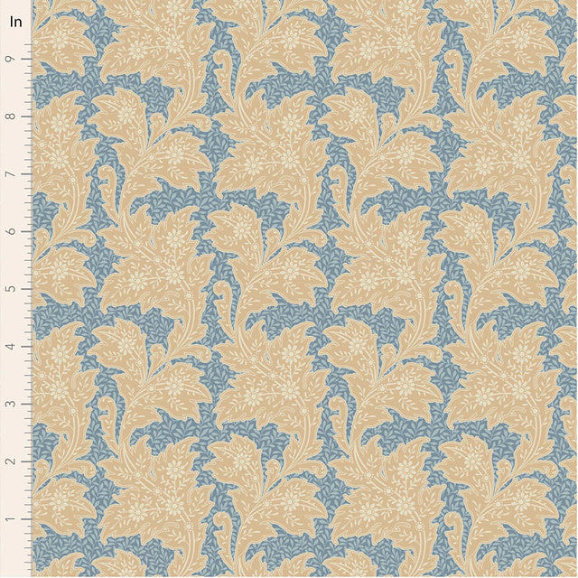 FEBRUARY PREORDER - Stella in Blue