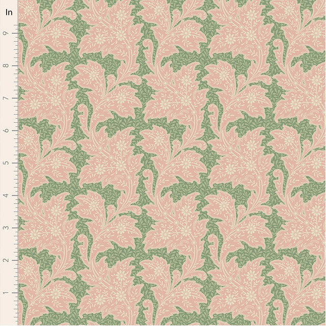 FEBRUARY PREORDER - Stella in Sage