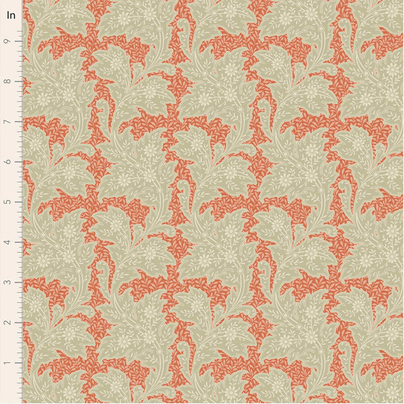 FEBRUARY PREORDER - Stella in Coral