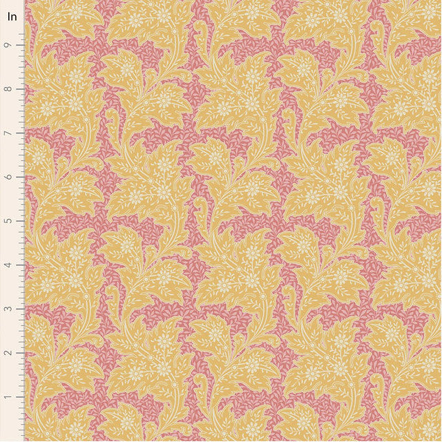 FEBRUARY PREORDER - Stella in Yellow