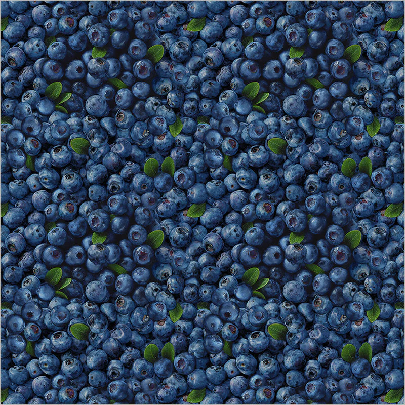 SEPTEMBER PREORDER ** ANESH 2026 Fabric