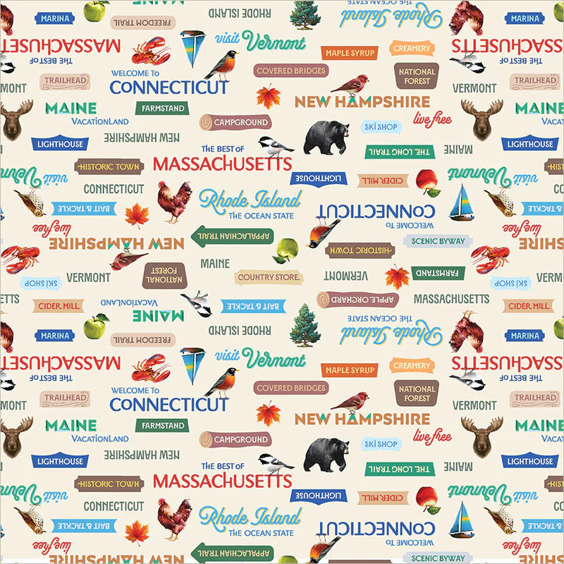 SEPTEMBER PREORDER ** ANESH 2026 Fabric