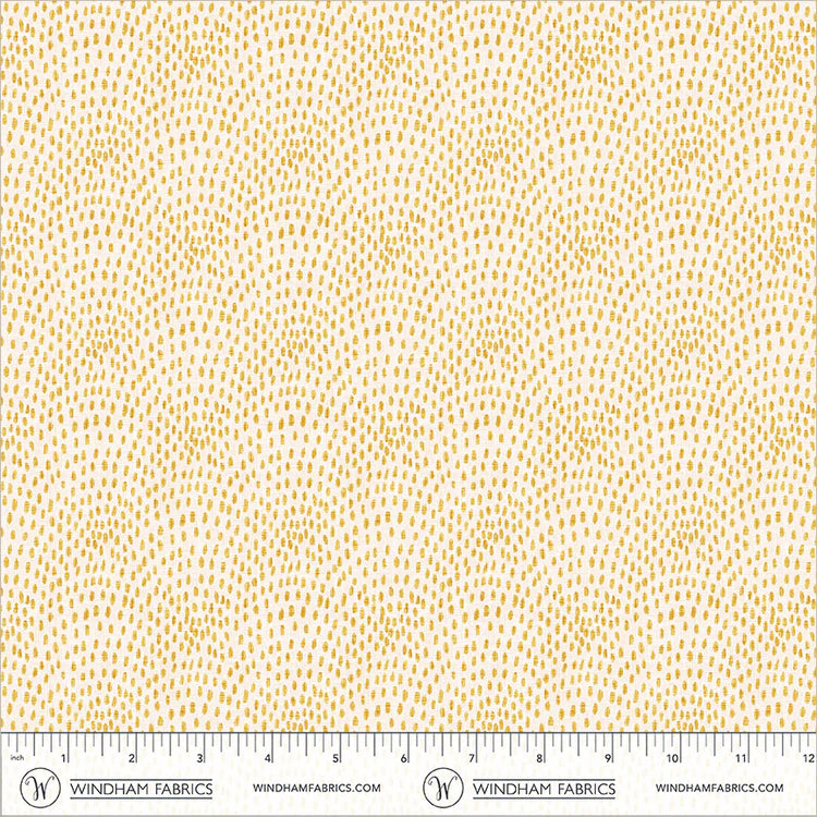 FEBRUARY PREORDER -- Speckled Scallop
