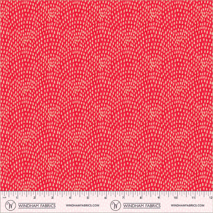 FEBRUARY PREORDER -- Speckled Scallop