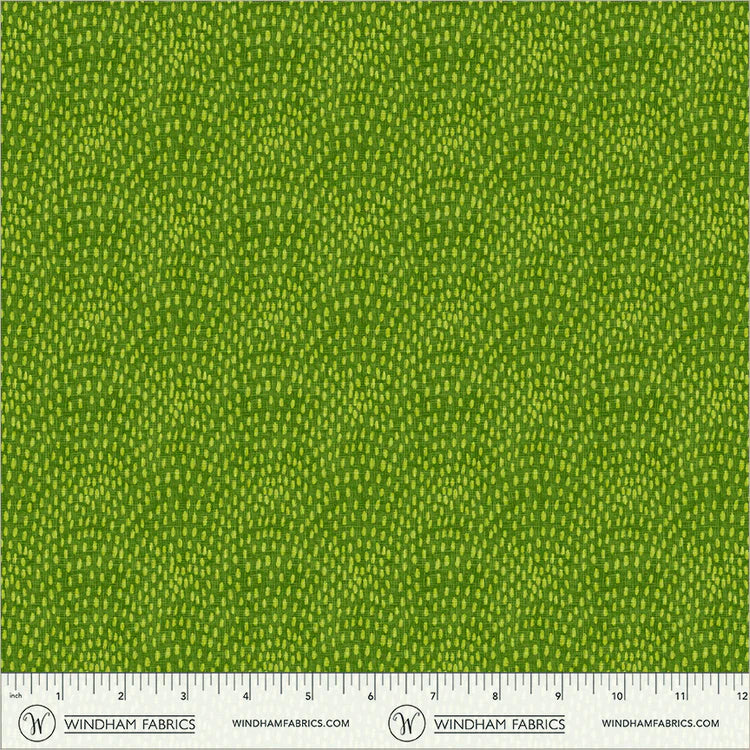 FEBRUARY PREORDER -- Speckled Scallop