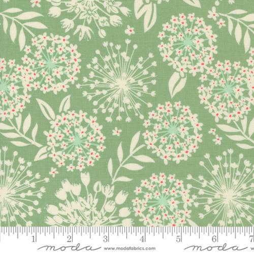 Pre Order Ships In September Moda Fabrics By Kate Spain Tango By The 1/2 Yard  Simpatico Sage