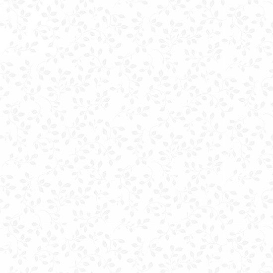 FEBRUARY PREORDER -- White On White