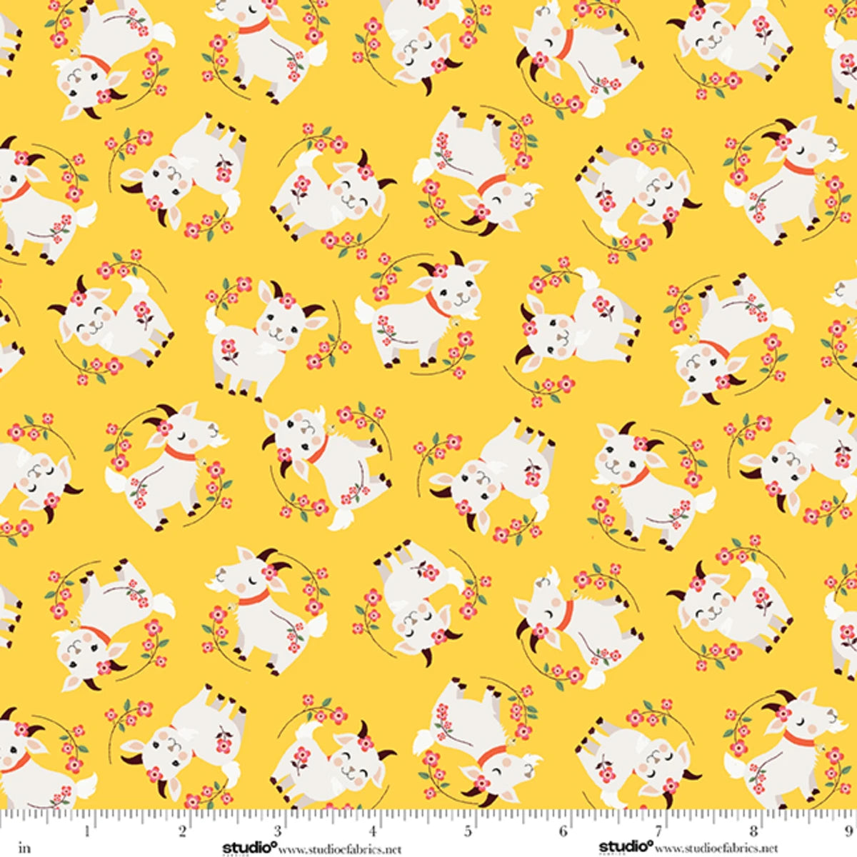 Pre Order Ships In October Yellow Primrose