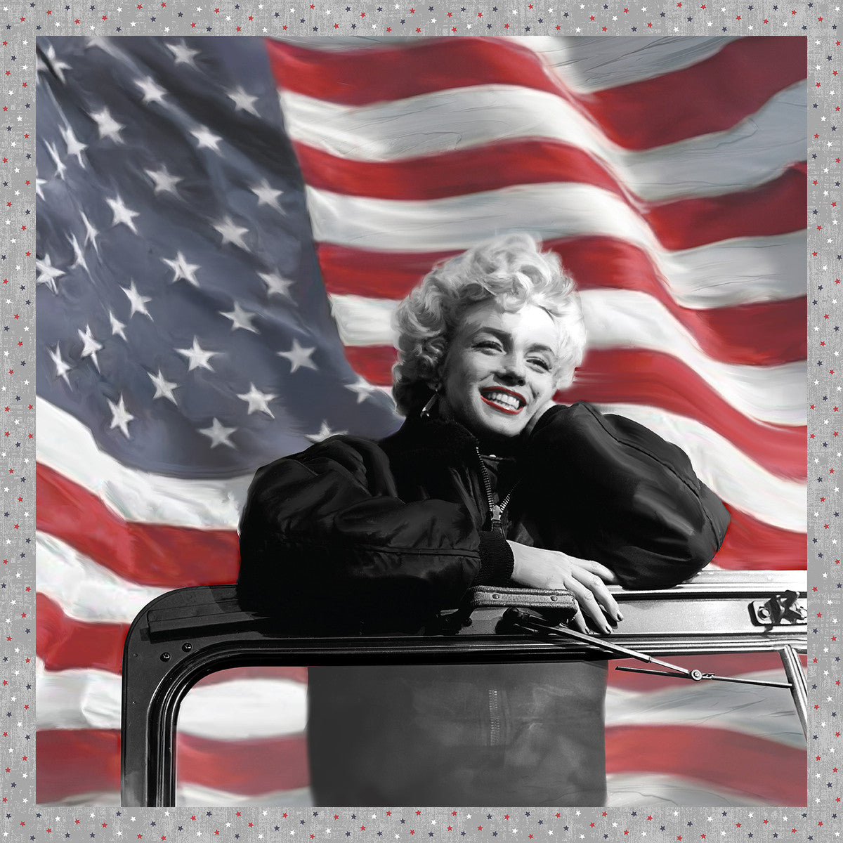 Pre Order Ships In September Patriotic || STARS & Stripes Panel