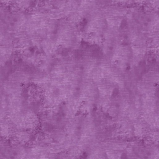 Chalk Texture Orchid