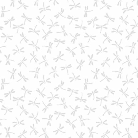 White on White Dragonflies