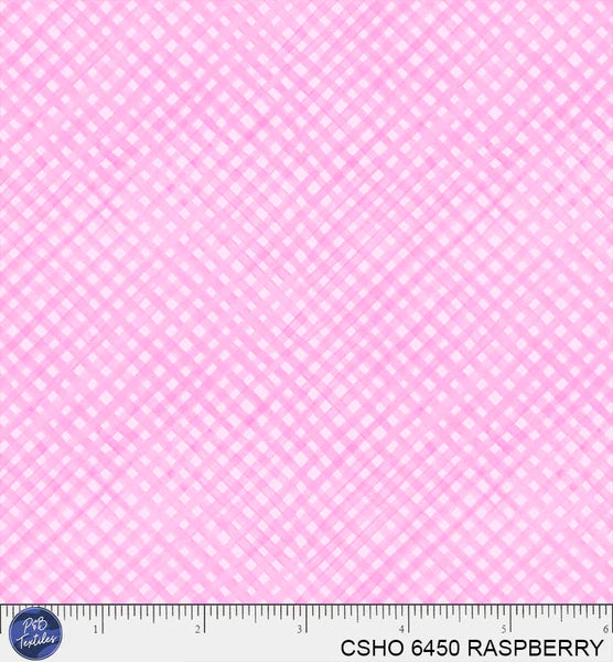 DECEMBER PREORDER -- RASPBERRY