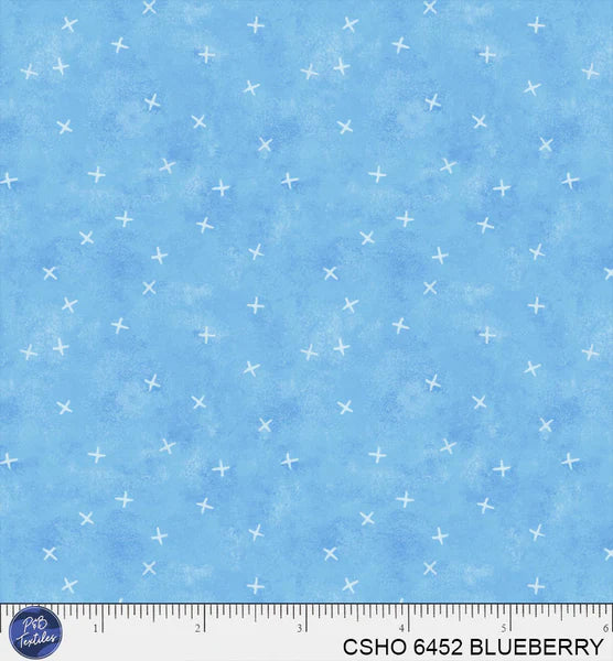 DECEMBER PREORDER -- BLUEBERRY